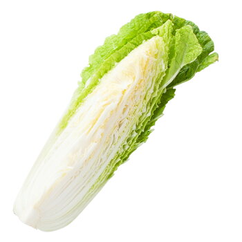 白菜 1 4カット ベイシアネットスーパー 楽天全国スーパー 白菜 1 4カット ベイシアネットスーパー 楽天全国スーパー